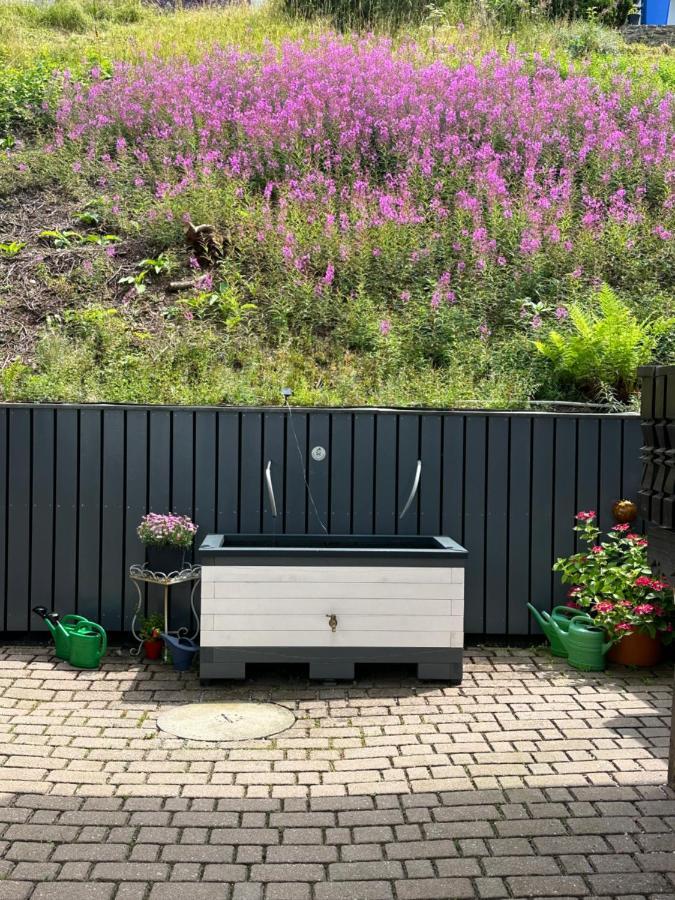 Modernes Top Apartment Mitten Im Bayerischen Wald + Wlan Kostenfrei Schöfweg Eksteriør billede