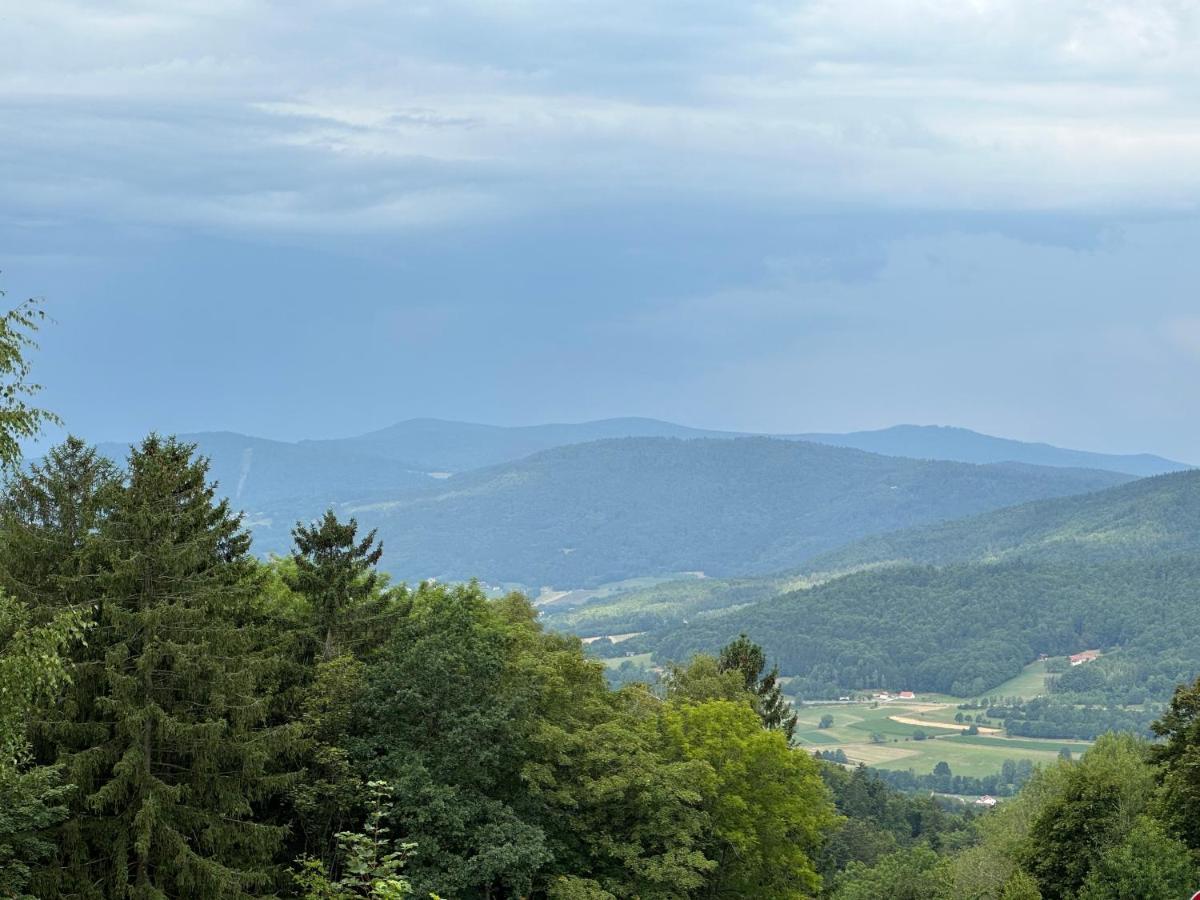 Modernes Top Apartment Mitten Im Bayerischen Wald + Wlan Kostenfrei Schöfweg Eksteriør billede